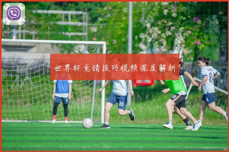 世界杯竞猜技巧视频深度解析